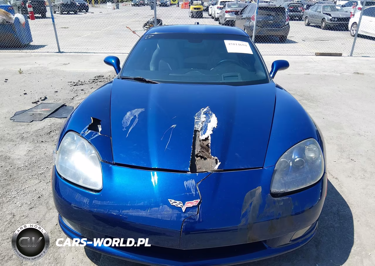 2005 Chevrolet Corvette VIN:1G1YY24U655123986 - 12