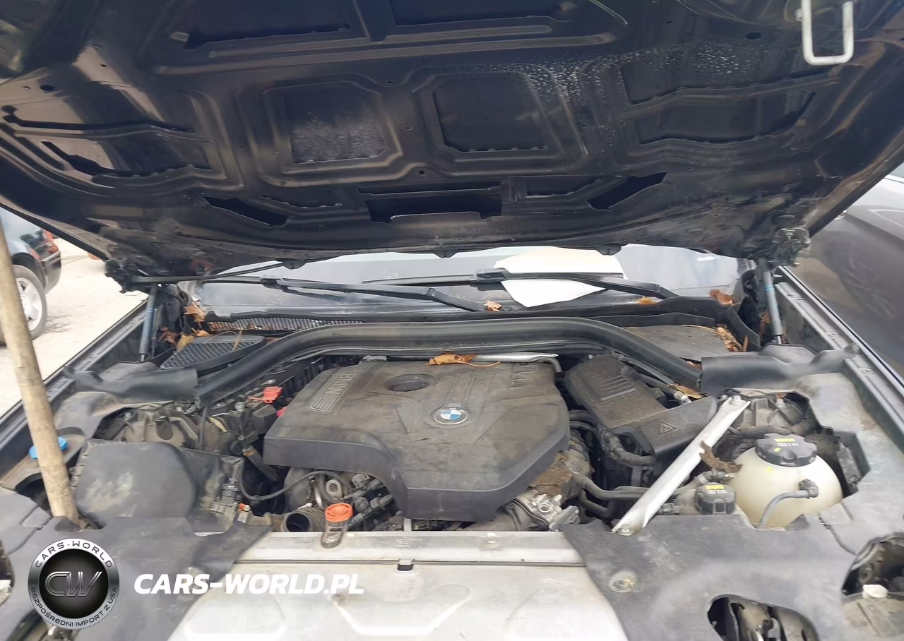 2019 BMW X3 Sdrive30I VIN:5UXTR7C50KLE95998 - 10