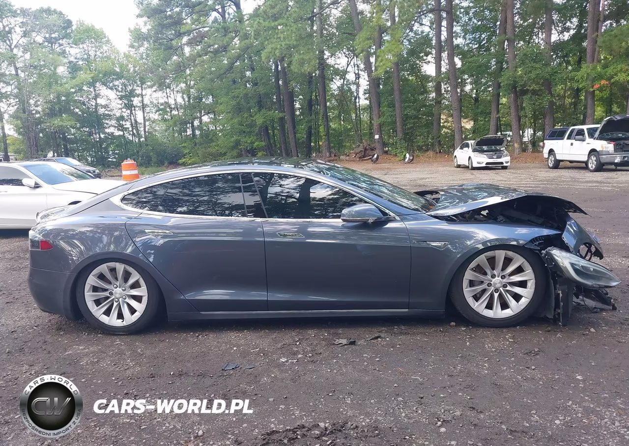 2016 Tesla Model S 60D-70D-75D-85D-90D VIN:5YJSA1E26GF152396 - 13