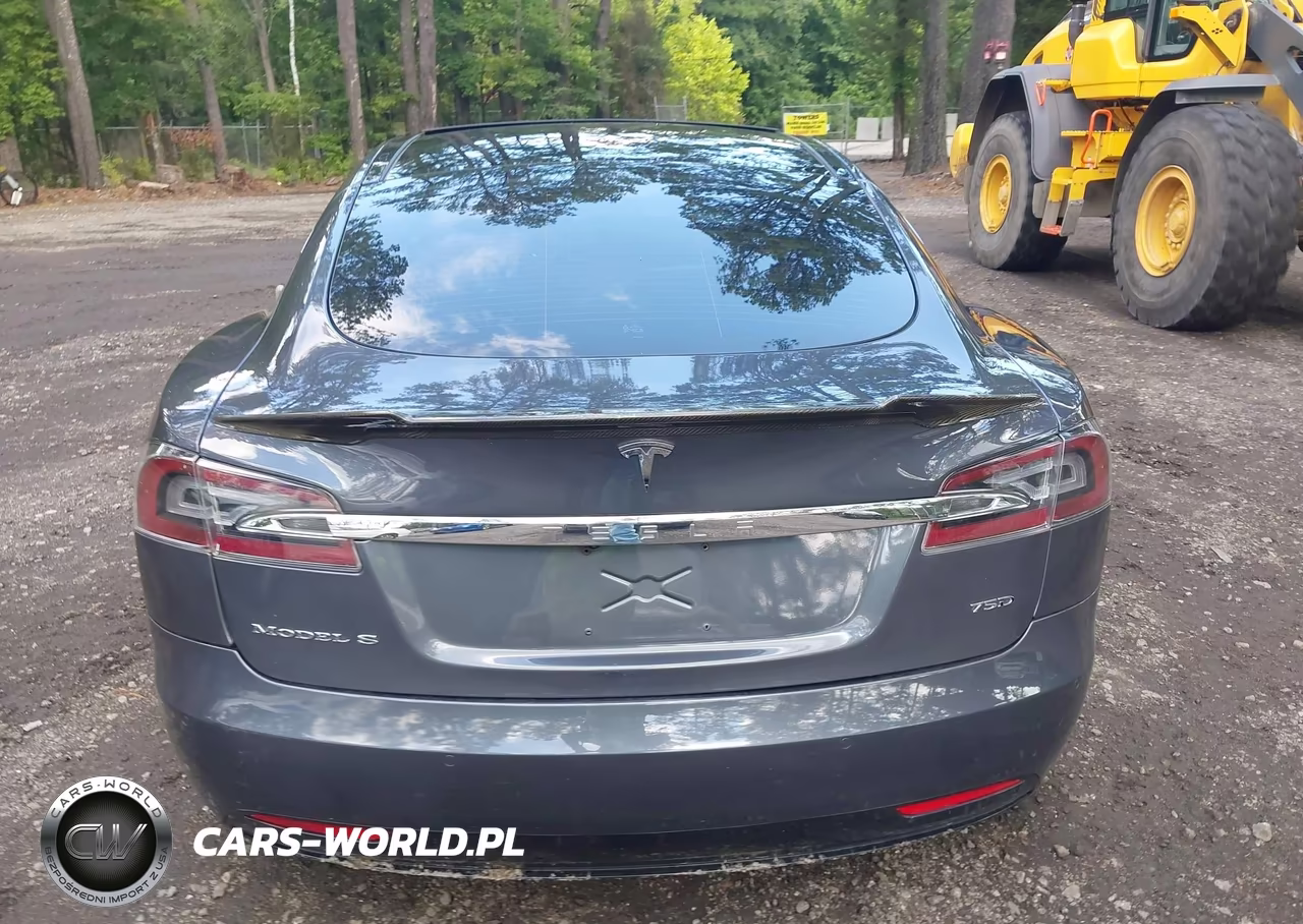 2016 Tesla Model S 60D-70D-75D-85D-90D VIN:5YJSA1E26GF152396 - 16