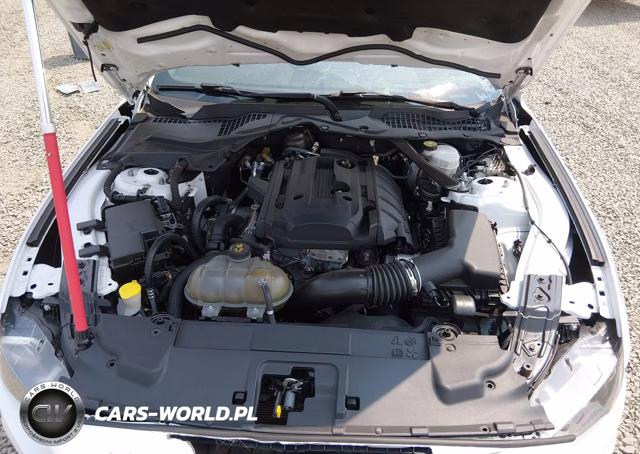 2019 Ford Mustang Ecoboost Premium VIN:1FATP8UH8K5159500 - 10