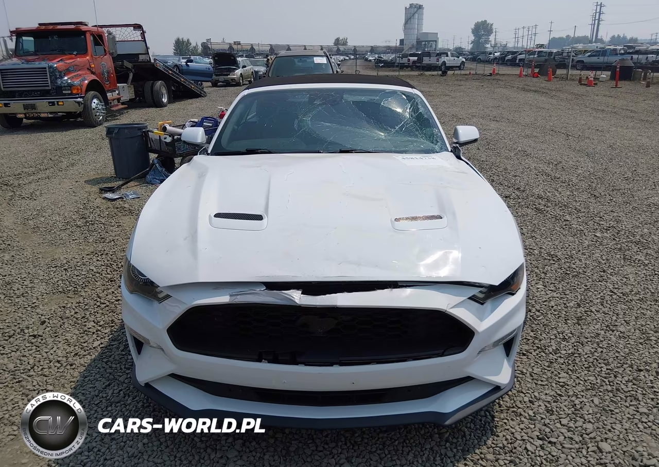 2019 Ford Mustang Ecoboost Premium VIN:1FATP8UH8K5159500 - 12