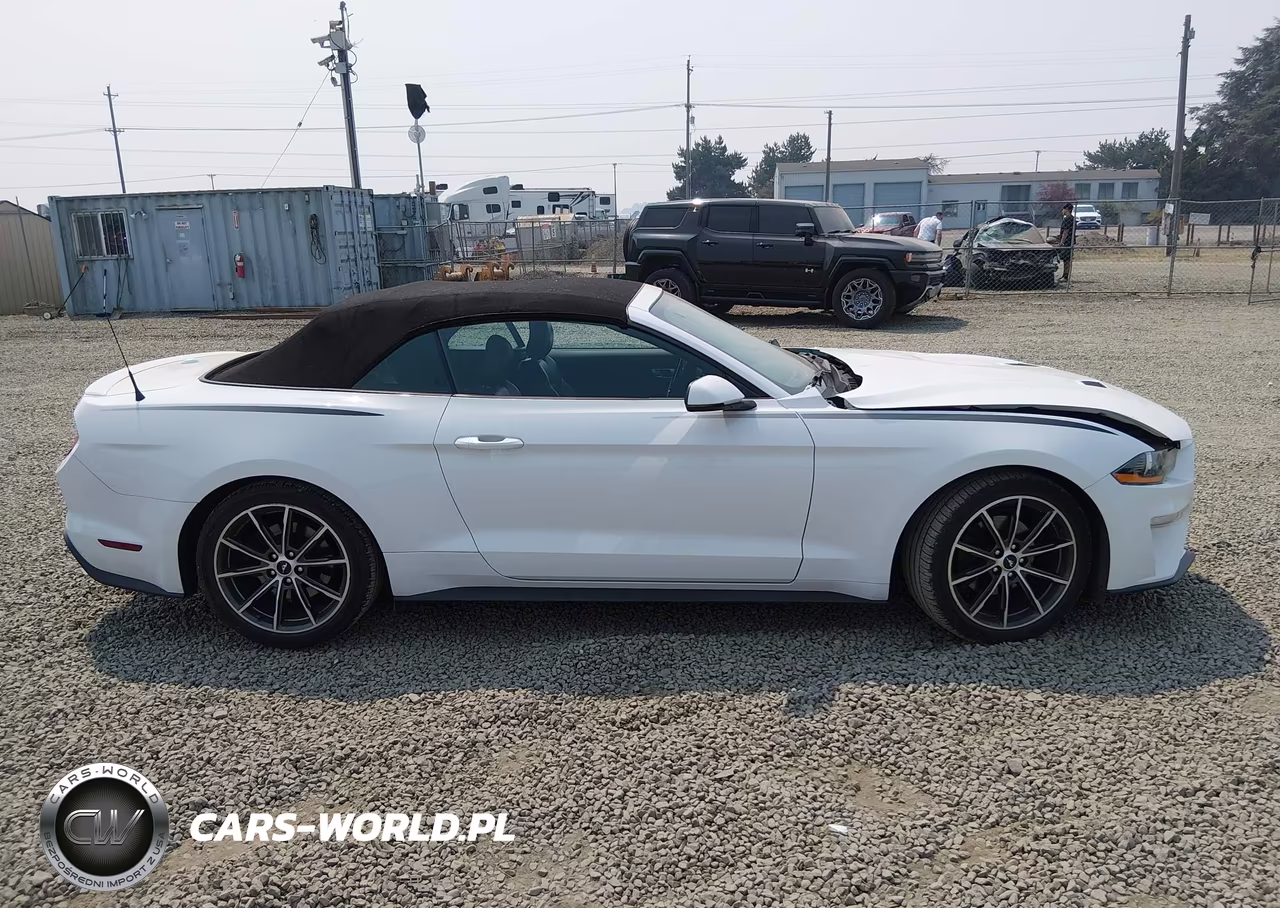 2019 Ford Mustang Ecoboost Premium VIN:1FATP8UH8K5159500 - 13