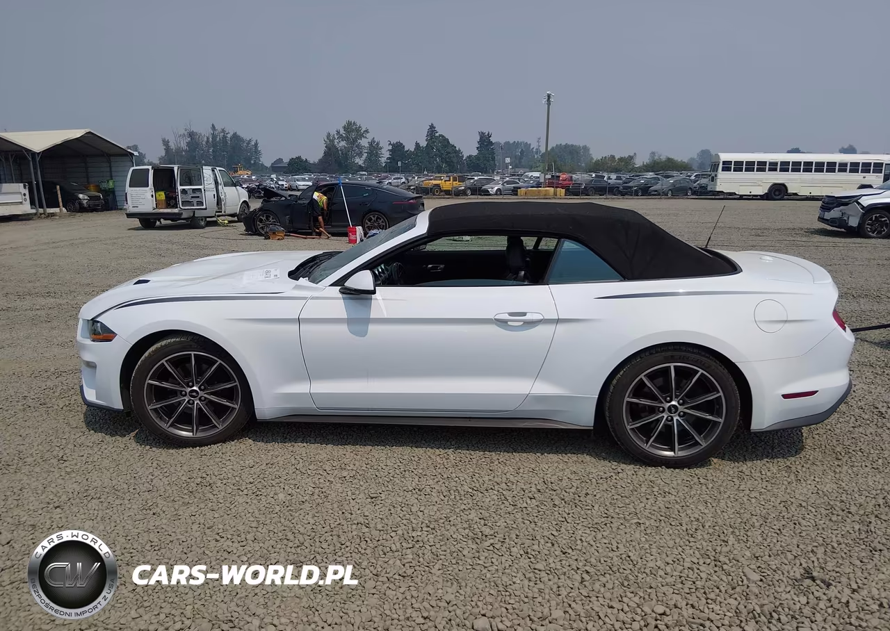 2019 Ford Mustang Ecoboost Premium VIN:1FATP8UH8K5159500 - 14