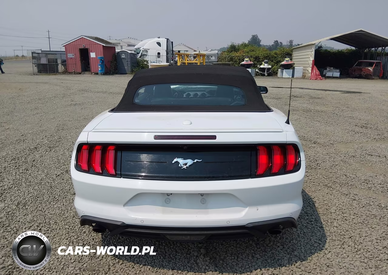 2019 Ford Mustang Ecoboost Premium VIN:1FATP8UH8K5159500 - 16