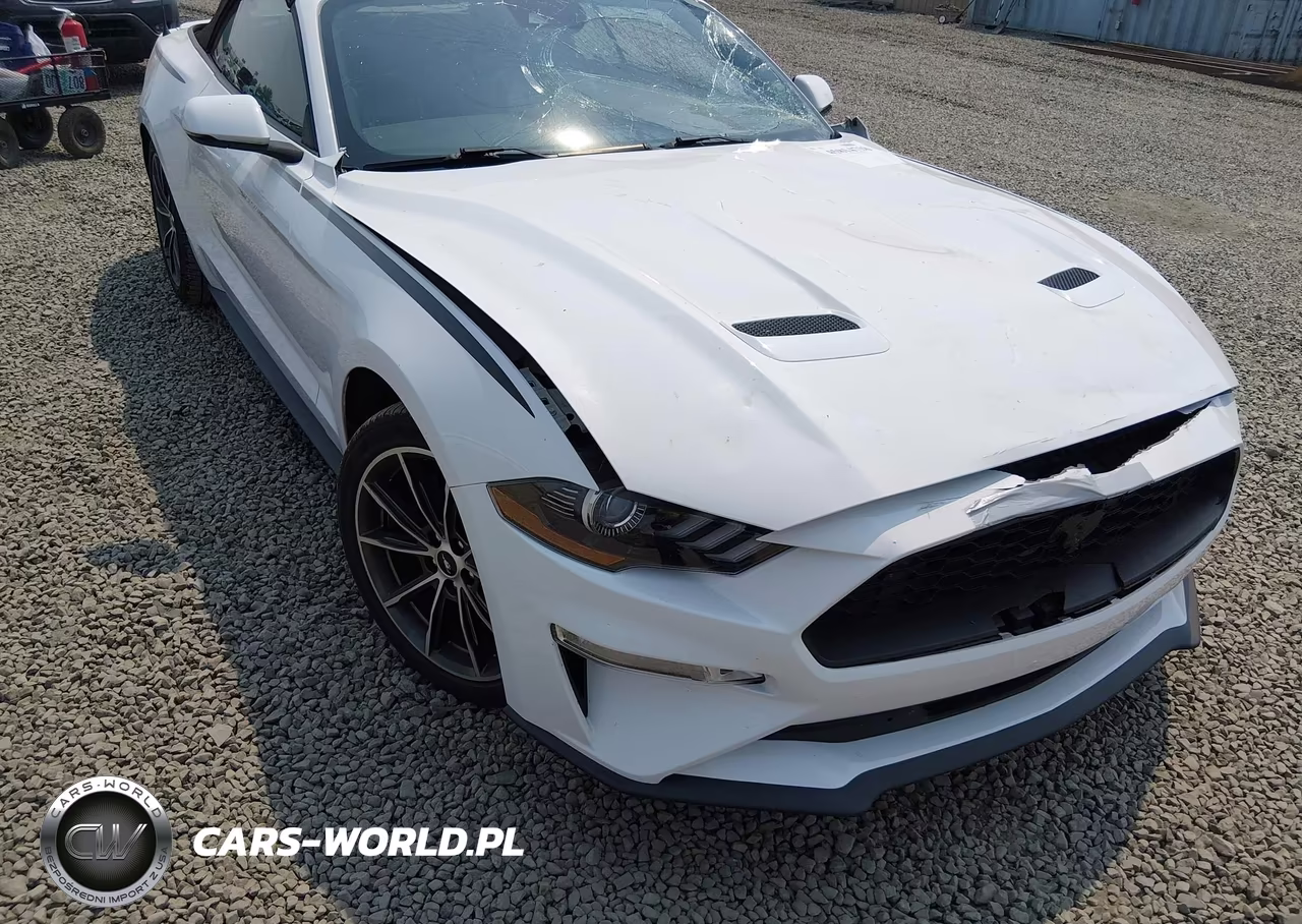 2019 Ford Mustang Ecoboost Premium VIN:1FATP8UH8K5159500 - 17