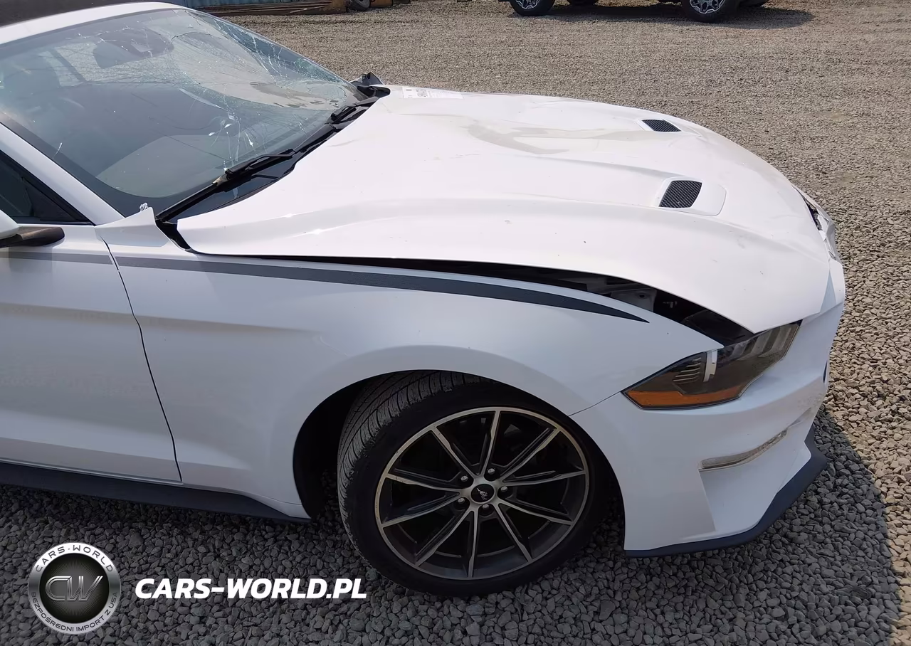 2019 Ford Mustang Ecoboost Premium VIN:1FATP8UH8K5159500 - 18