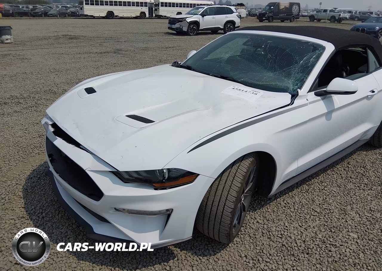 2019 Ford Mustang Ecoboost Premium VIN:1FATP8UH8K5159500 - 19
