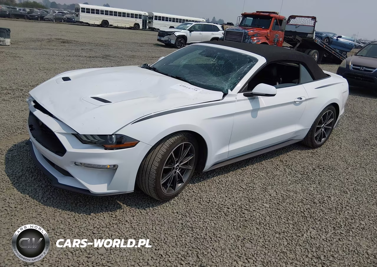 2019 Ford Mustang Ecoboost Premium VIN:1FATP8UH8K5159500 - 2