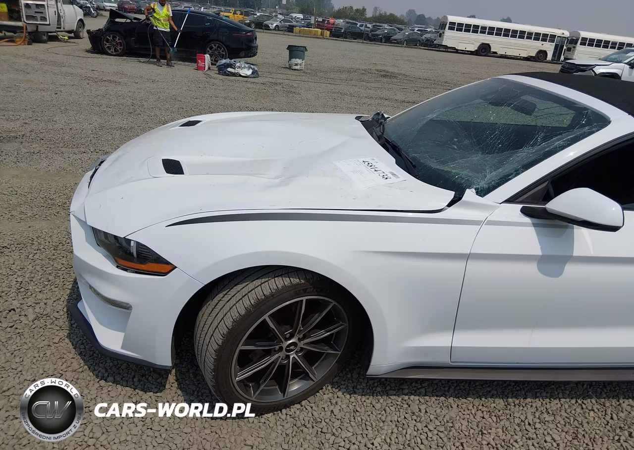 2019 Ford Mustang Ecoboost Premium VIN:1FATP8UH8K5159500 - 20