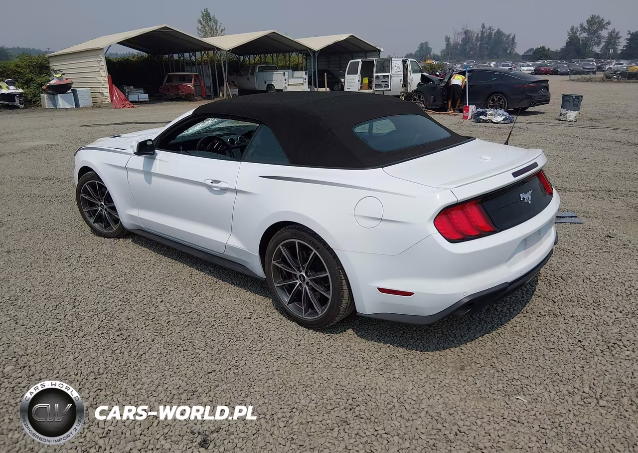 2019 Ford Mustang Ecoboost Premium VIN:1FATP8UH8K5159500 - 3