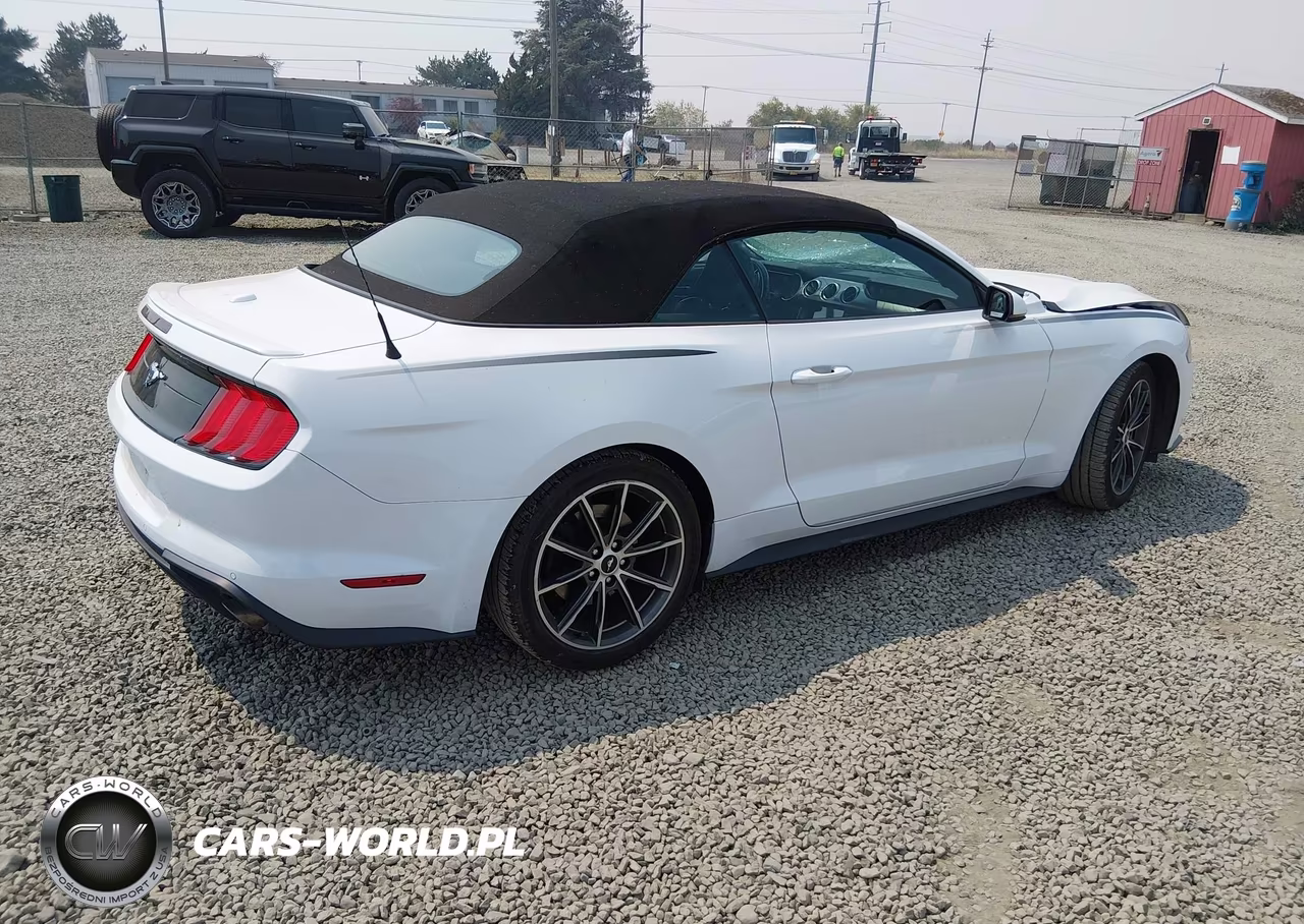 2019 Ford Mustang Ecoboost Premium VIN:1FATP8UH8K5159500 - 4