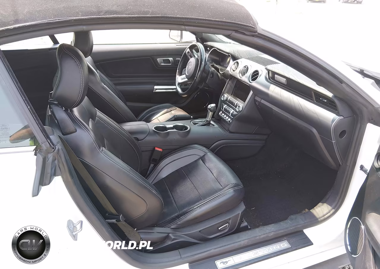 2019 Ford Mustang Ecoboost Premium VIN:1FATP8UH8K5159500 - 5