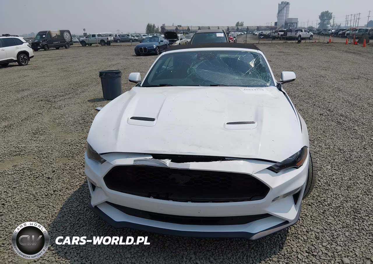 2019 Ford Mustang Ecoboost Premium VIN:1FATP8UH8K5159500 - 6