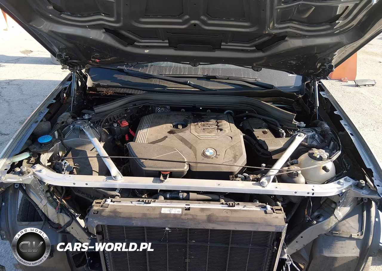 2023 BMW X3 Sdrive30I VIN:5UX43DP06P9S05168 - 10