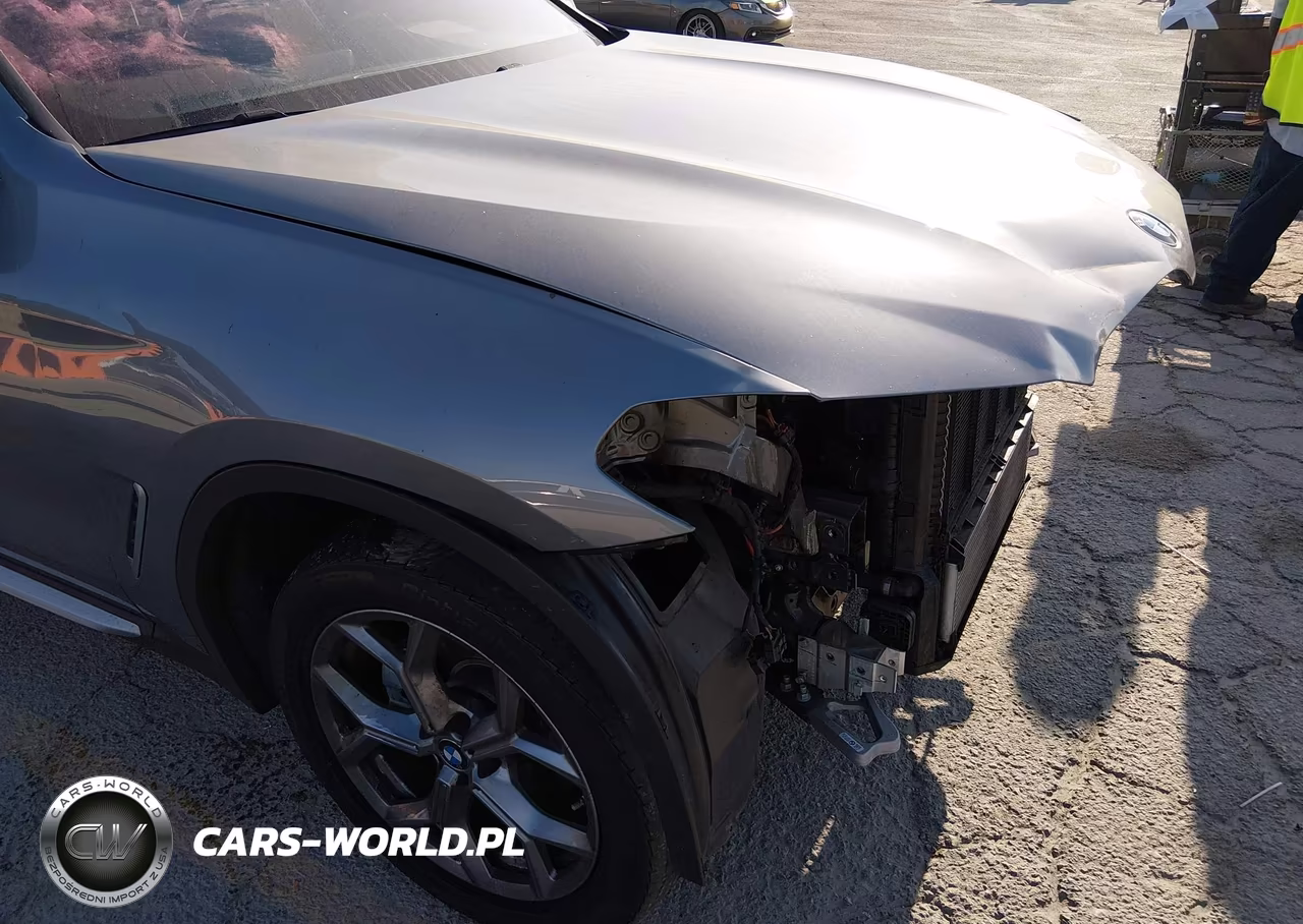 2023 BMW X3 Sdrive30I VIN:5UX43DP06P9S05168 - 19