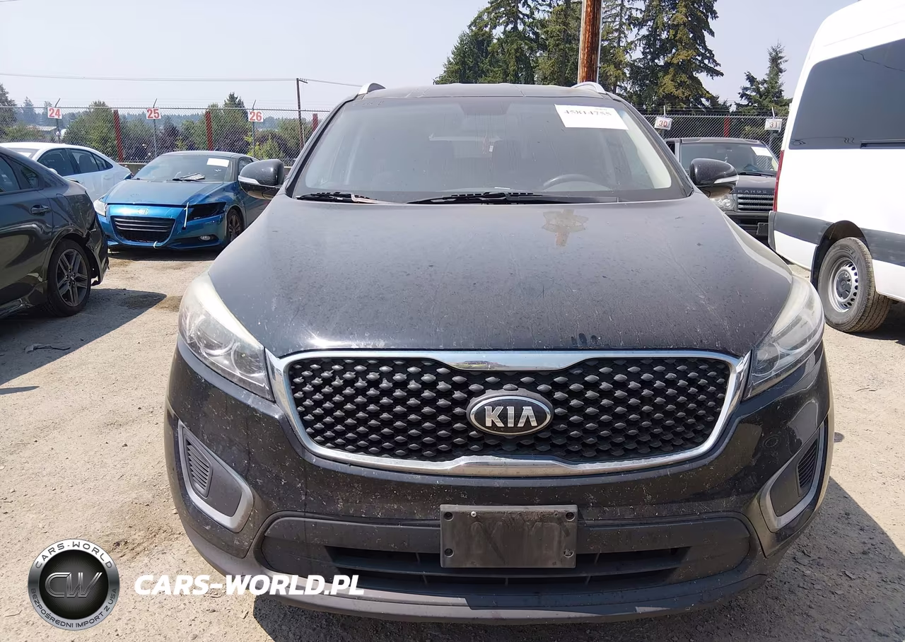 2017 Kia Sorento 3.3L Lx VIN:5XYPGDA51HG198931 - 12