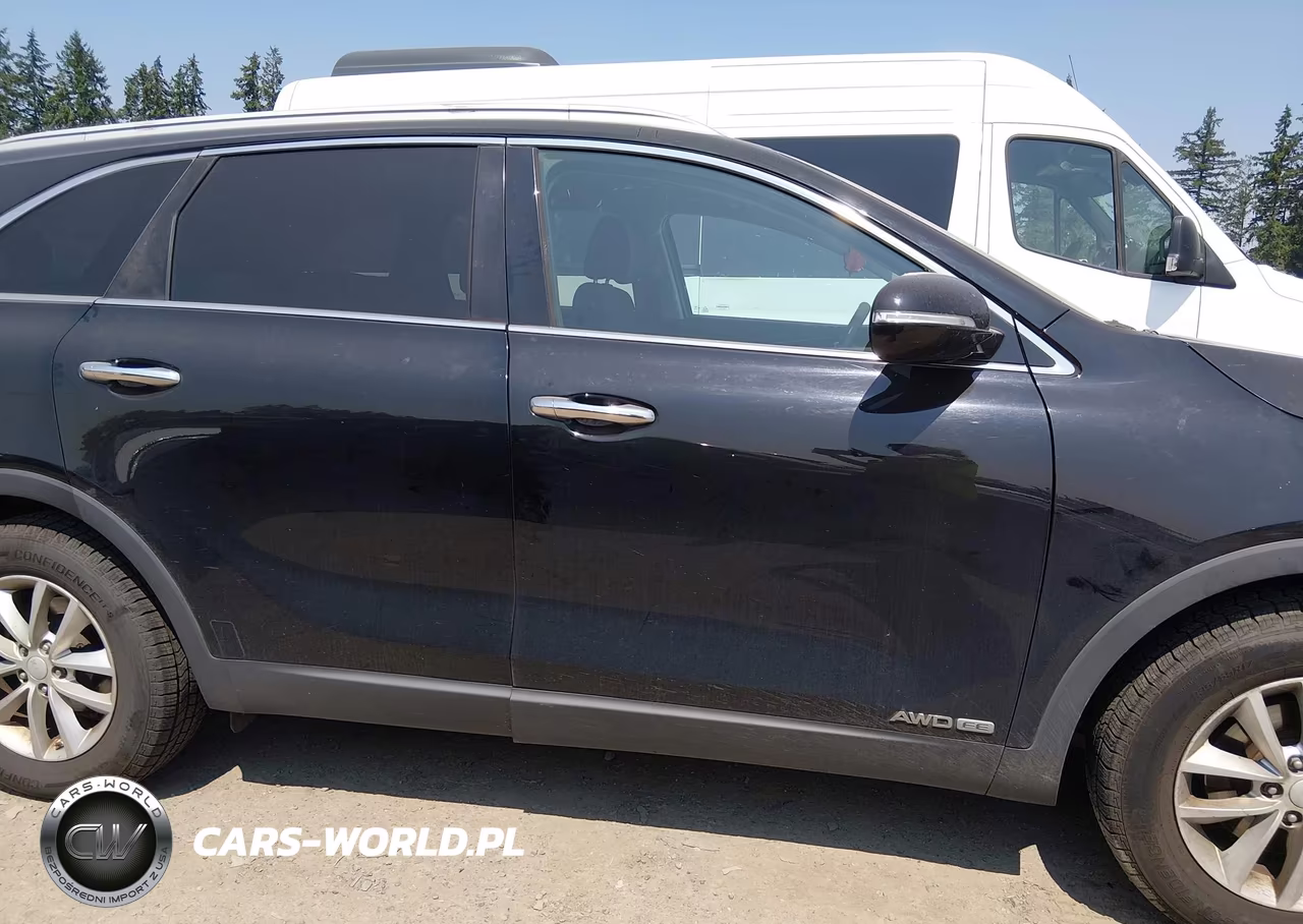 2017 Kia Sorento 3.3L Lx VIN:5XYPGDA51HG198931 - 13
