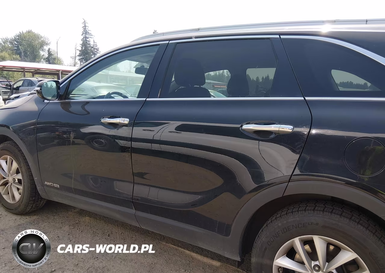 2017 Kia Sorento 3.3L Lx VIN:5XYPGDA51HG198931 - 14