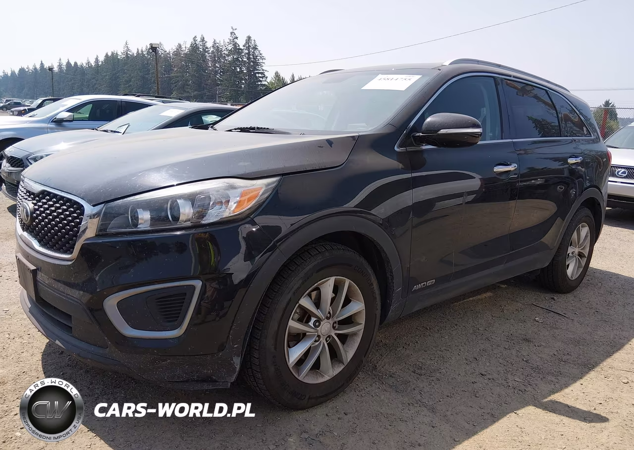 2017 Kia Sorento 3.3L Lx VIN:5XYPGDA51HG198931 - 2