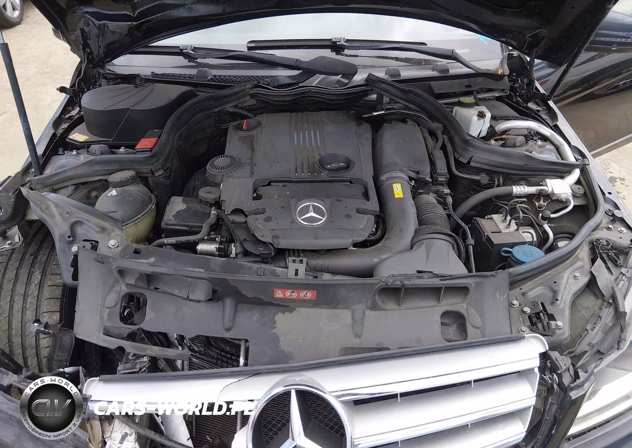 2013 Mercedes-Benz C 250 Sport VIN:WDDGF4HB5DR269841 - 10