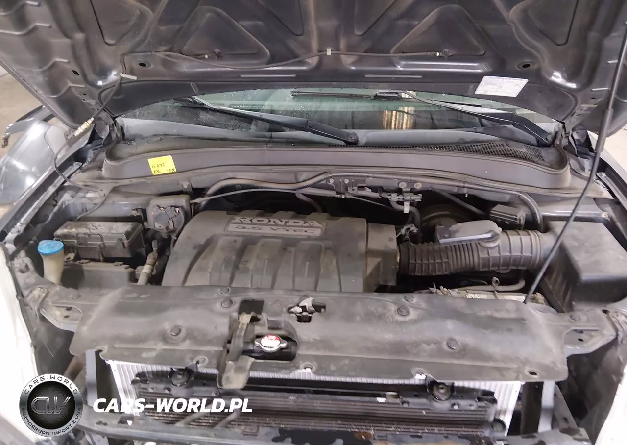 2005 Honda Pilot Ex VIN:2HKYF18485H513523 - 10