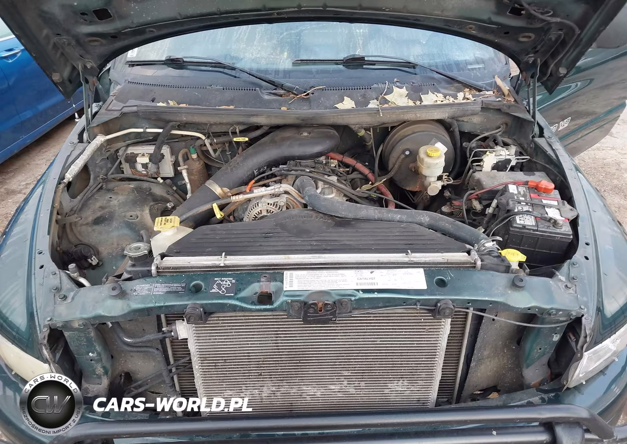 2000 Dodge Ram 1500 St VIN:3B7HF13Z8YG162094 - 10