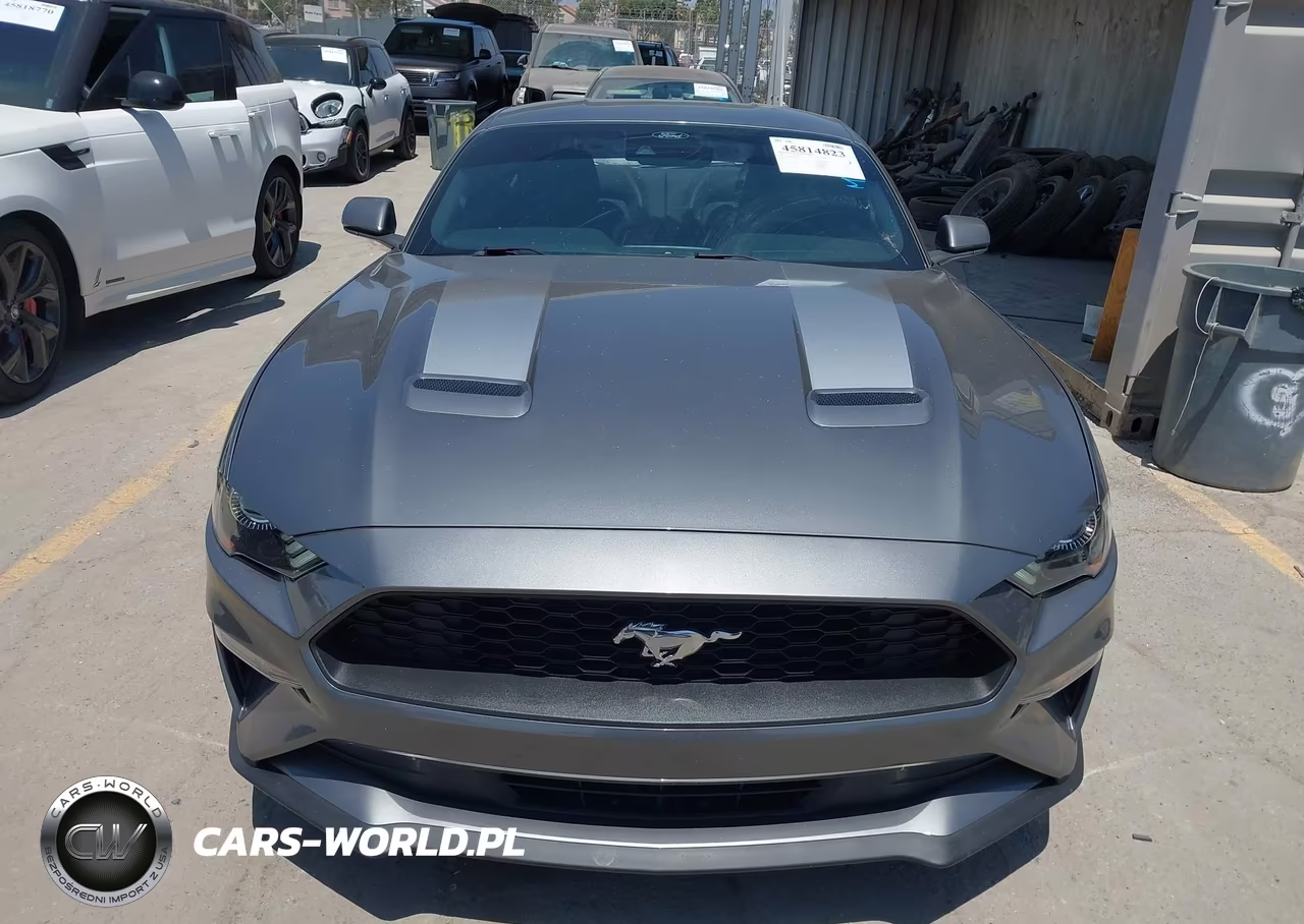 2022 Ford Mustang Ecoboost Fastback VIN:1FA6P8TH7N5136146 - 12