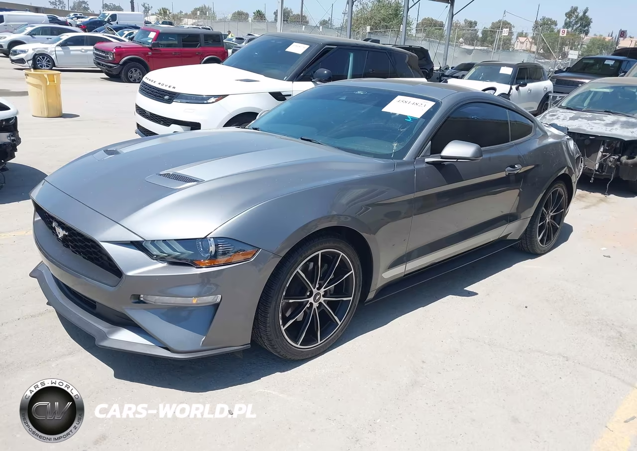 2022 Ford Mustang Ecoboost Fastback VIN:1FA6P8TH7N5136146 - 2