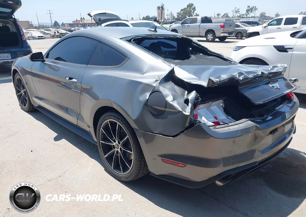 2022 Ford Mustang Ecoboost Fastback VIN:1FA6P8TH7N5136146 - 3