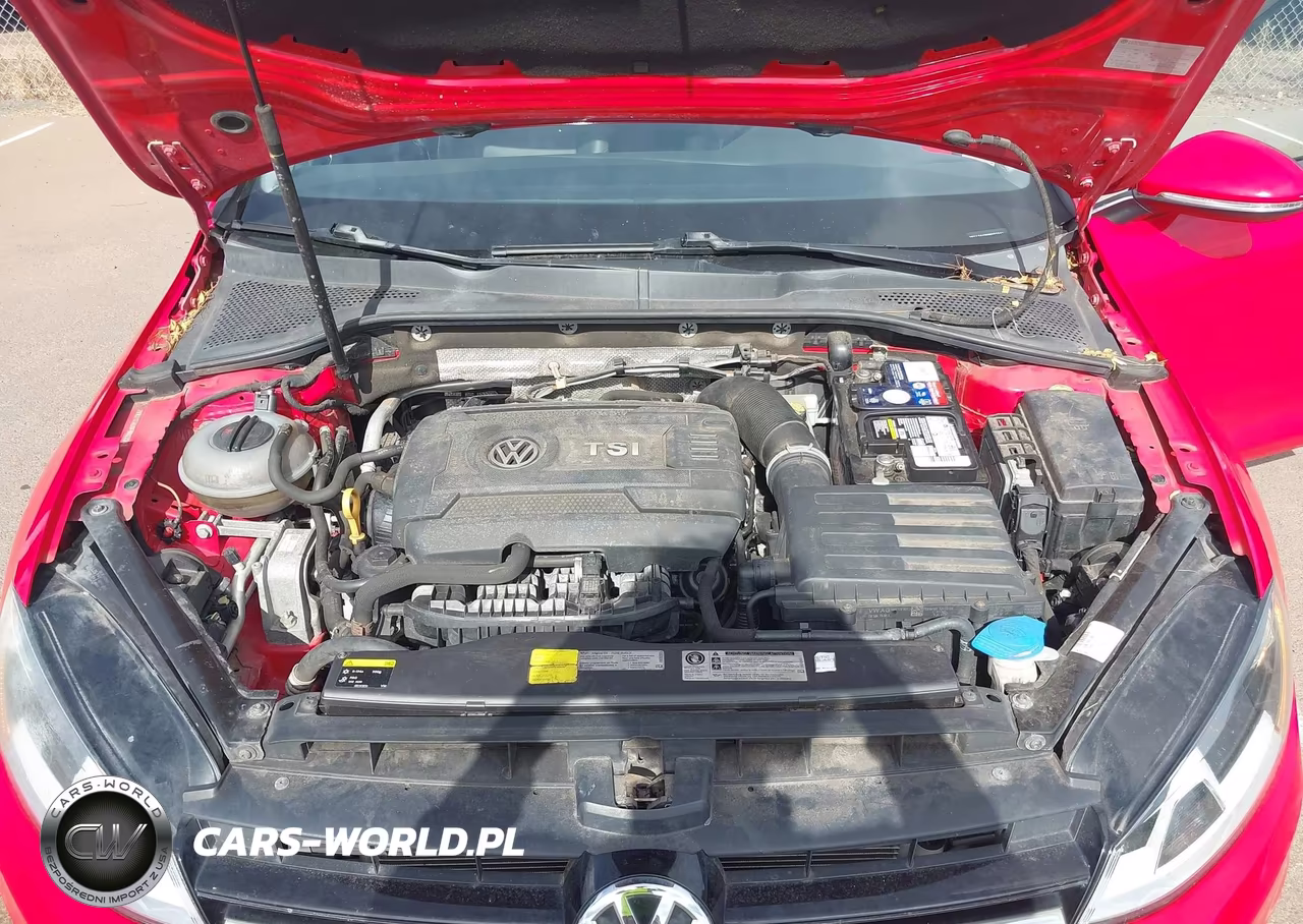 2015 Volkswagen Golf Tsi S 4-Door VIN:3VW217AU9FM022341 - 10