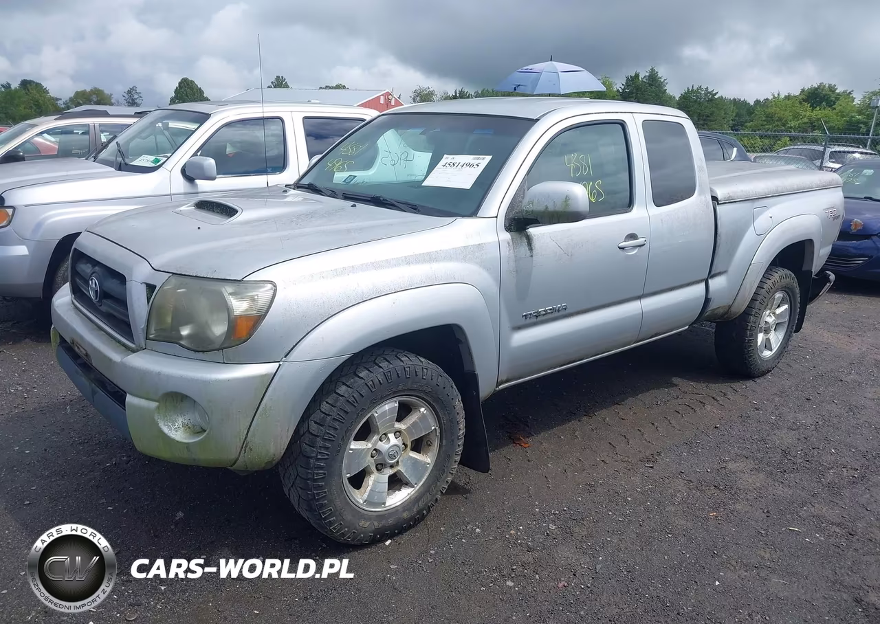 2009 Toyota Tacoma Base V6 VIN:5TEUU42N59Z651708 - 2