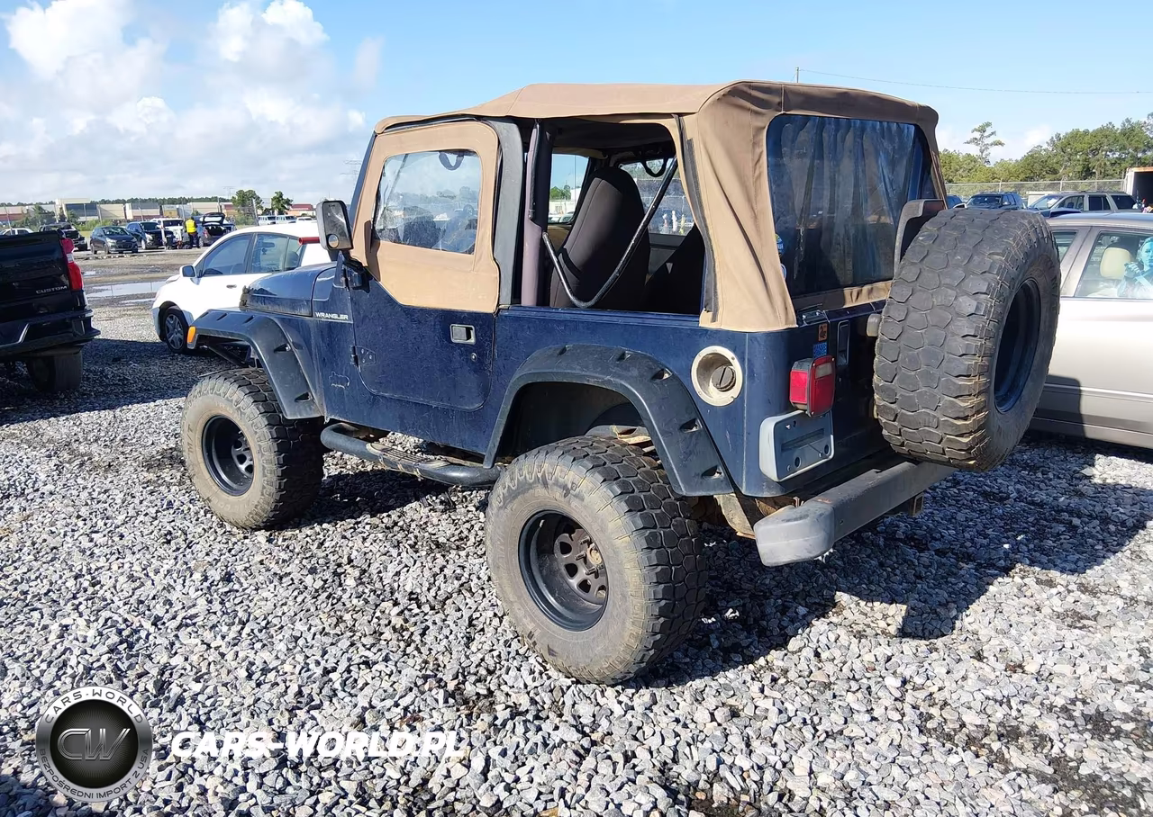 1997 Jeep Wrangler Se VIN:1J4FY29P6VP453191 - 3