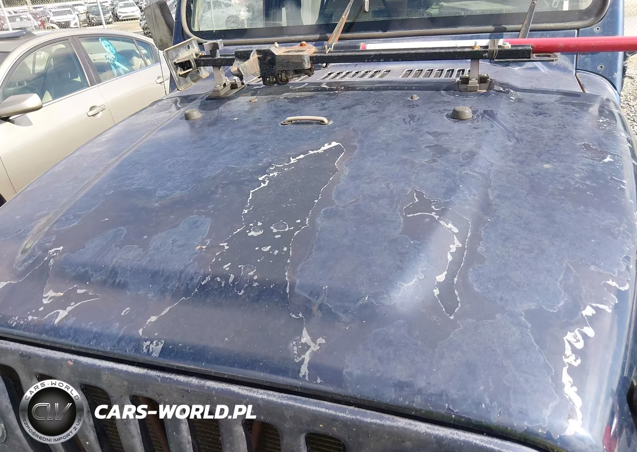 1997 Jeep Wrangler Se VIN:1J4FY29P6VP453191 - 6