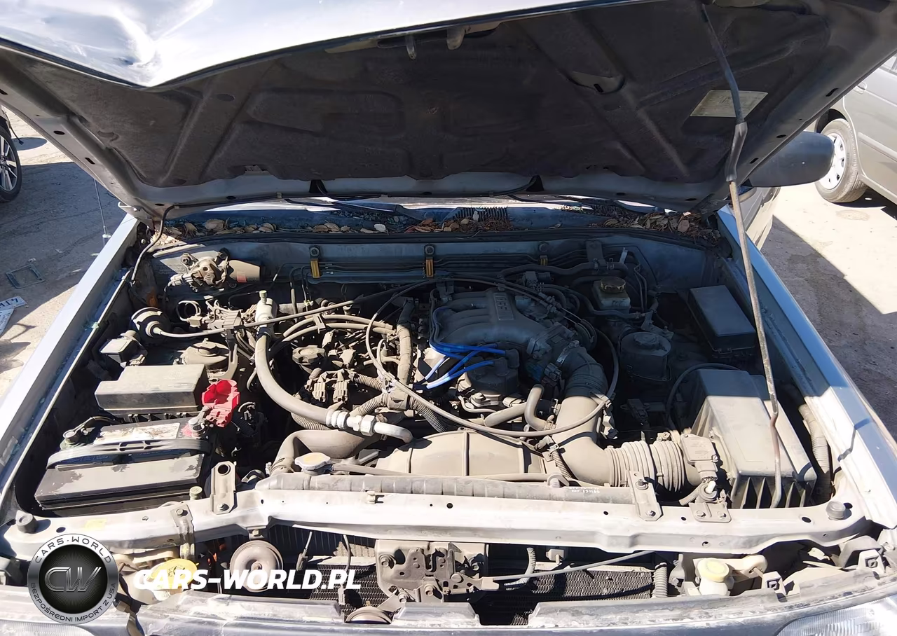 1999 Nissan Pathfinder Le-Se-Xe VIN:JN8AR05S7XW294464 - 10