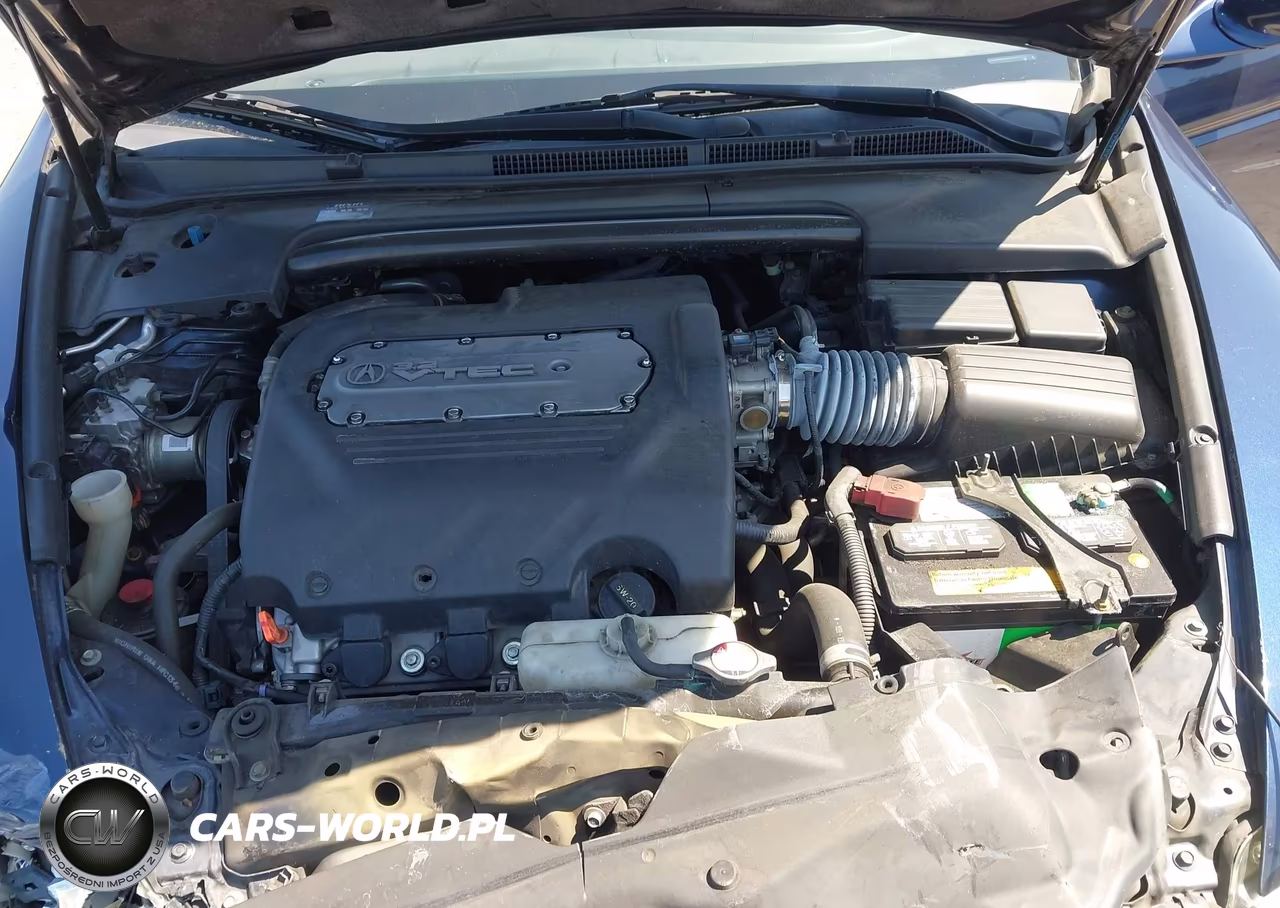 2004 Acura Tl VIN:19UUA66274A010195 - 10