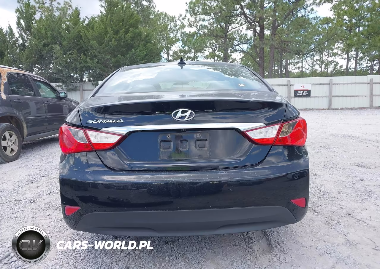 2014 Hyundai Sonata Gls VIN:5NPEB4AC5EH905327 - 17