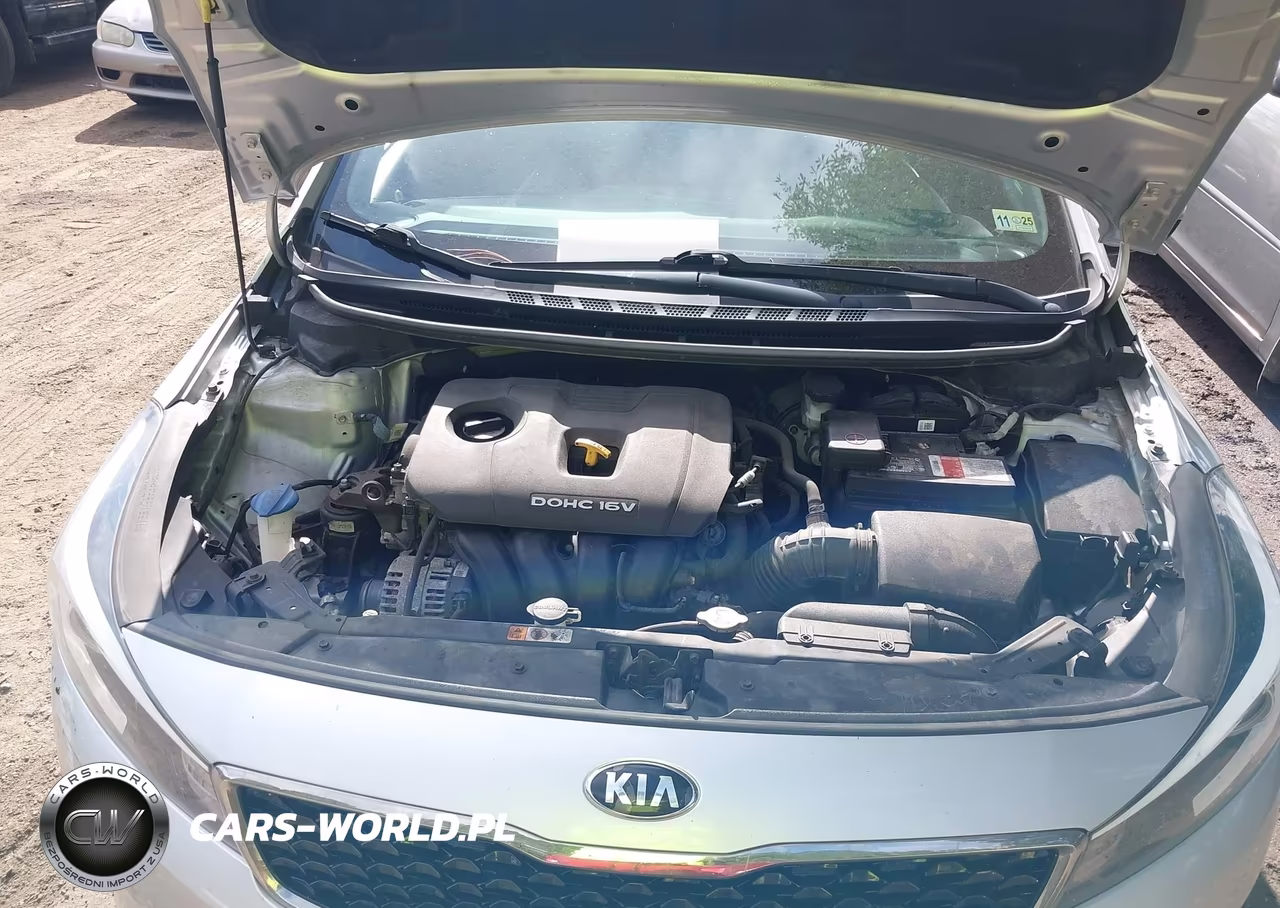 2018 Kia Forte Lx VIN:3KPFK4A75JE258157 - 10