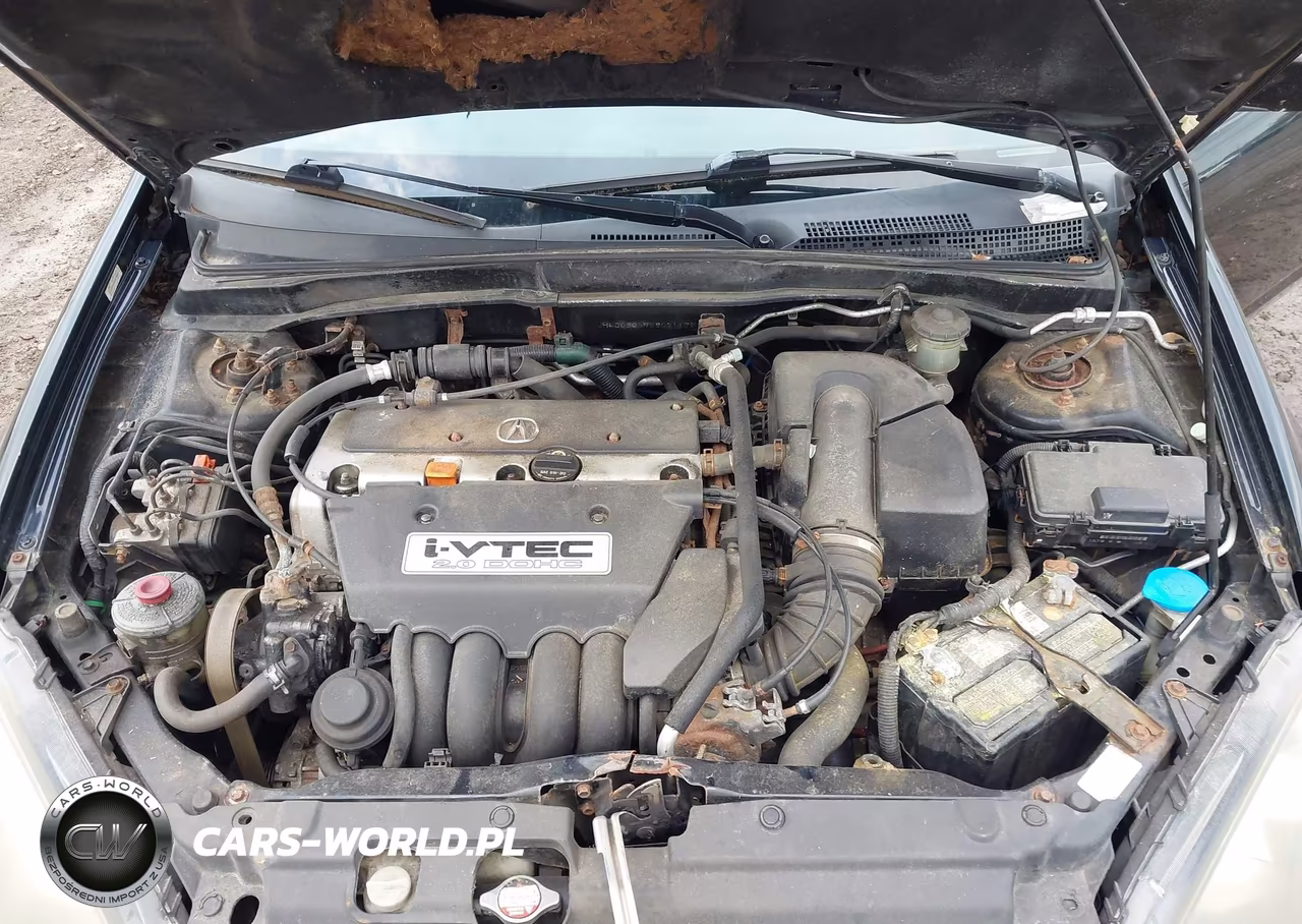 2006 Acura Rsx VIN:JH4DC54896S021172 - 10