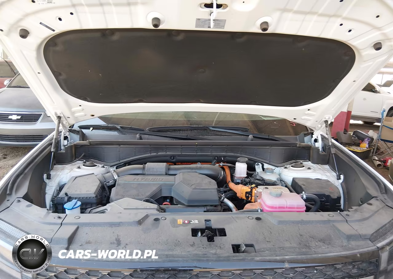 2025 Hyundai Santa Fe Hybrid Calligraphy VIN:5NMP5DG18SH046099 - 10