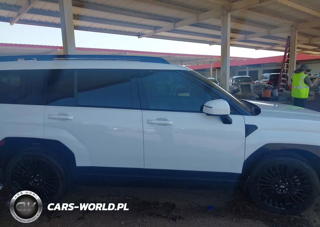 2025 Hyundai Santa Fe Hybrid Calligraphy VIN:5NMP5DG18SH046099 - 13