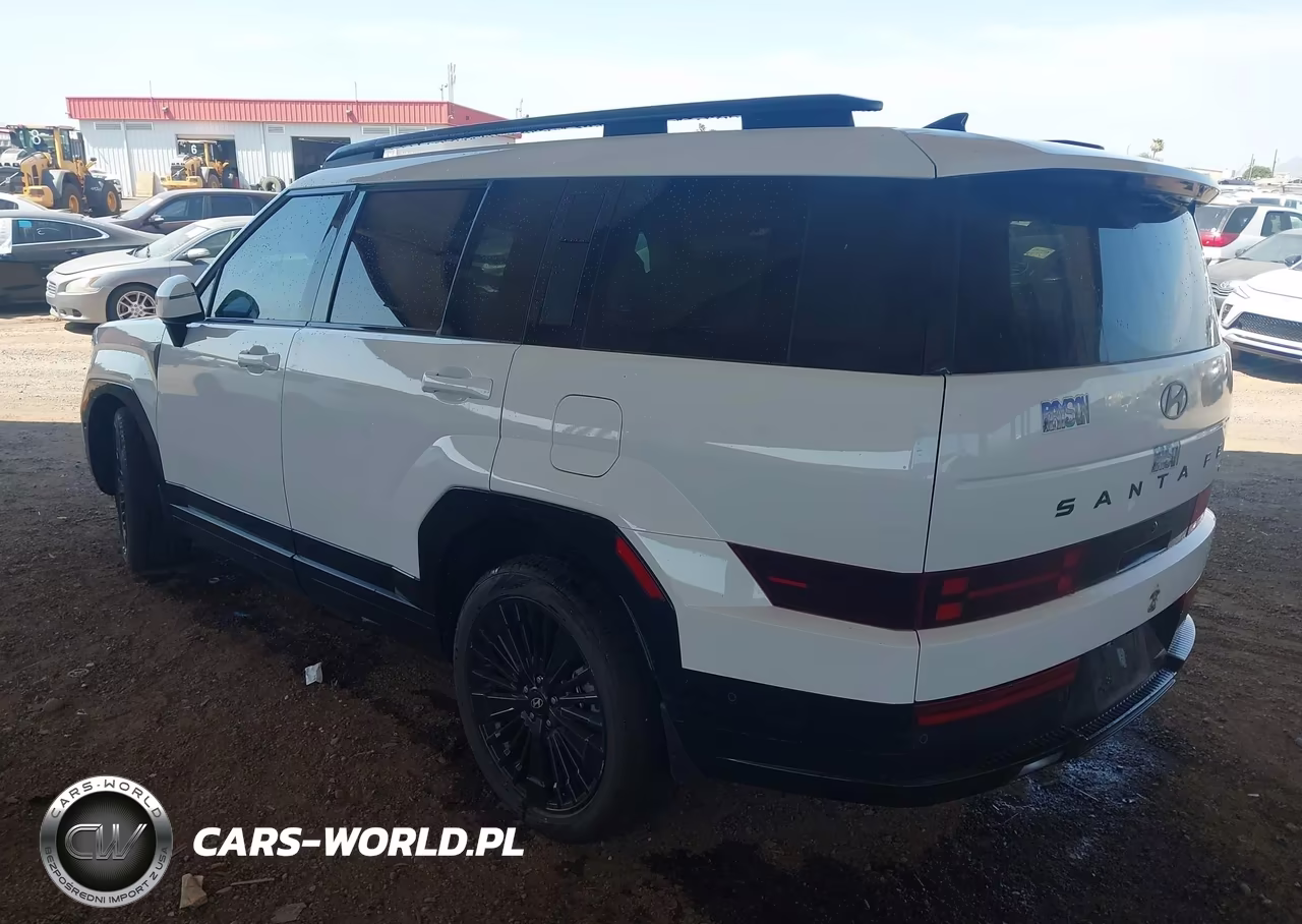 2025 Hyundai Santa Fe Hybrid Calligraphy VIN:5NMP5DG18SH046099 - 3