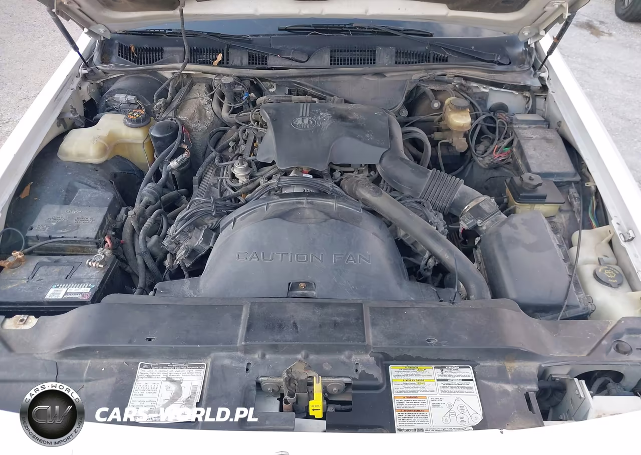 1996 Lincoln Town Car Sgn-Dmnd Anv-Cypress-Jn VIN:1LNLM82W6TY717697 - 10