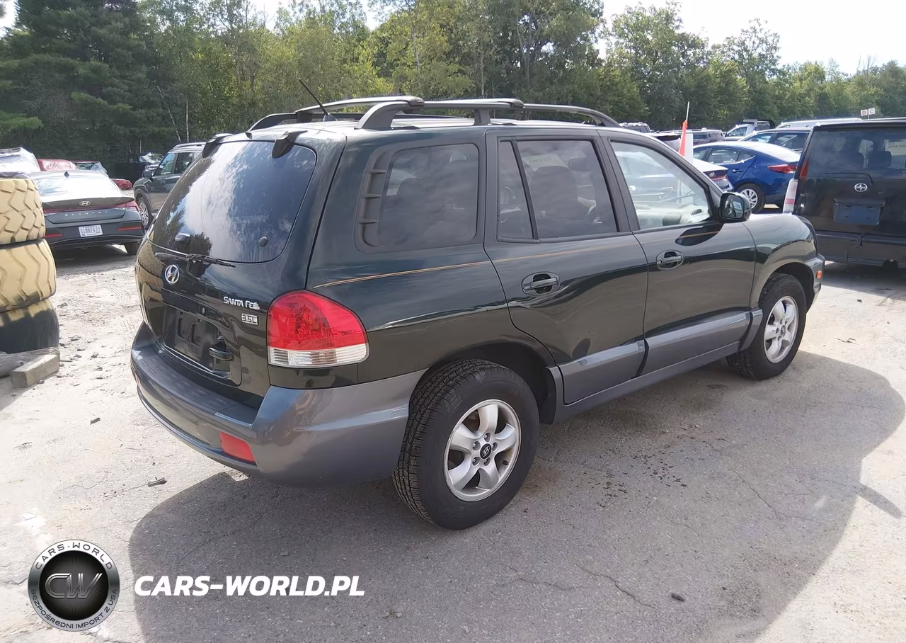 2006 Hyundai Santa Fe Gls-Limited VIN:KM8SC13E26U096093 - 4