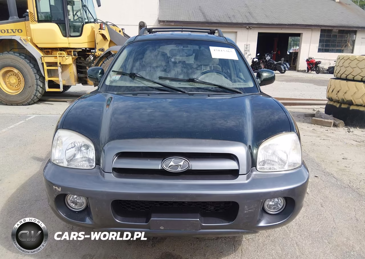 2006 Hyundai Santa Fe Gls-Limited VIN:KM8SC13E26U096093 - 6
