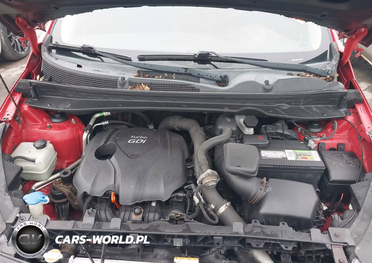 2011 Kia Sportage Sx VIN:KNDPCCA66B7121569 - 10