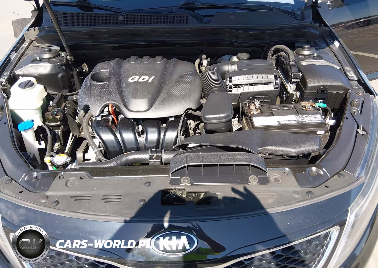 2015 Kia Optima Ex VIN:5XXGN4A75FG513402 - 10