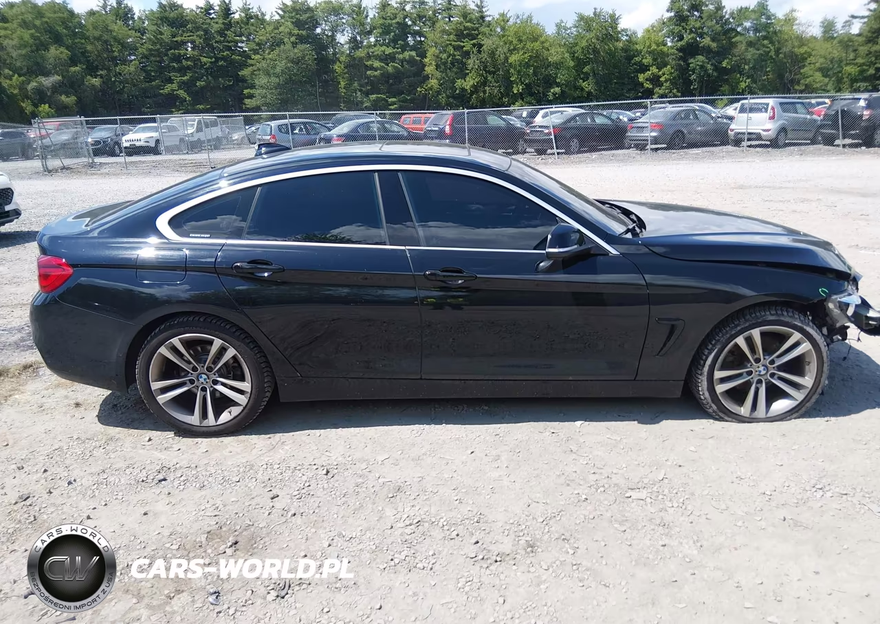 2019 BMW 430I Gran Coupe xDrive VIN:WBA4J3C53KBL08548 - 14