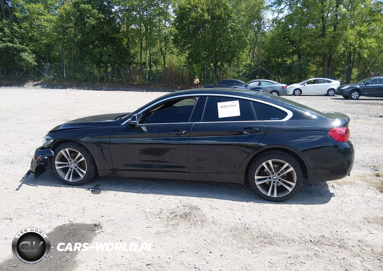 2019 BMW 430I Gran Coupe xDrive VIN:WBA4J3C53KBL08548 - 15