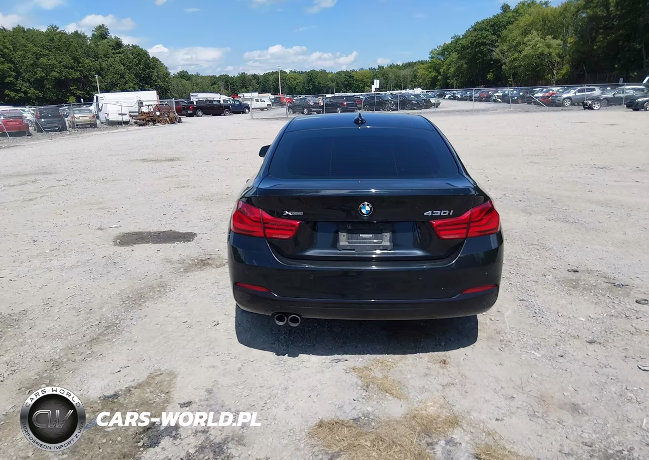 2019 BMW 430I Gran Coupe xDrive VIN:WBA4J3C53KBL08548 - 17